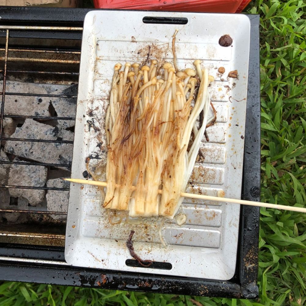 Langlebige Titan-Camping-Grill – Camping Cooking Lightweight Bewertung und Preis